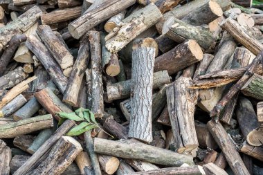 Mesquite ahşap Görünümü Kapat. yığılmış yakacak odun görüntüsünü.