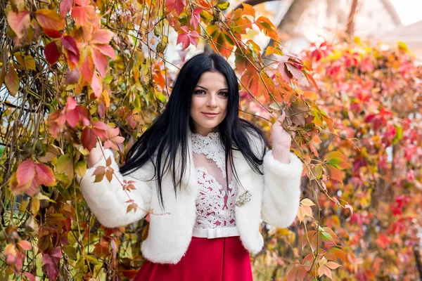 Mulher Vestido Moda Posando Com Folhas Amarelas Parque — Fotografia de Stock