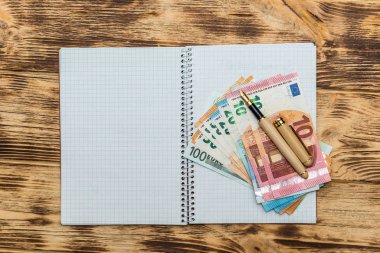 Boş not defterine dolma kalemle Avro banknotları