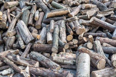 Mesquite ahşap Görünümü Kapat. yığılmış yakacak odun görüntüsünü.