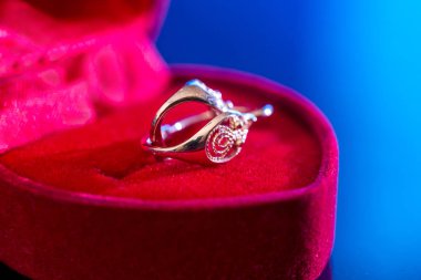 izole kırmızı kutu altın küpeler stud.