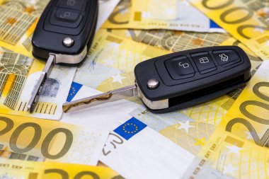 Avro banknotlarının arka planında uzaktan kontrol