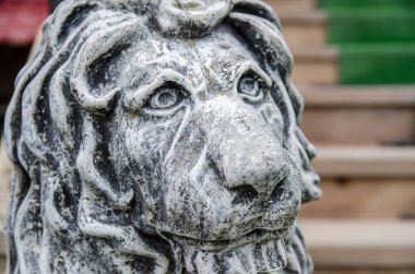 Arkaplan olarak Aslan Kafa