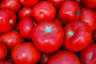 arka plan olarak kırmızı domatesler