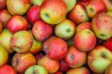 arka plan olarak kırmızı elmalar