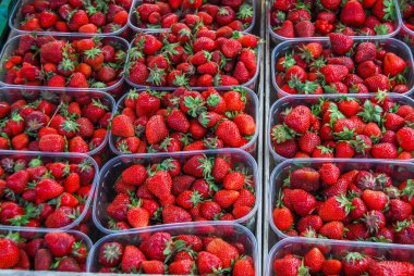 Çilek tam çerçeve arkaplanı