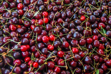 arkaplan olarak kırmızı kiraz seçimi