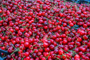 kırmızı taze parlak kirazlar