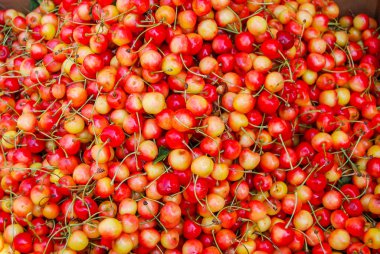 açık kırmızı kirazların arkaplanı