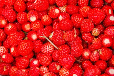 arka plan olarak yabani çilekler