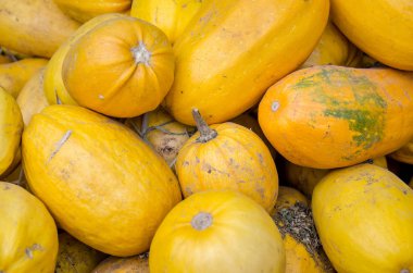 Arkaplan olarak balkabakları