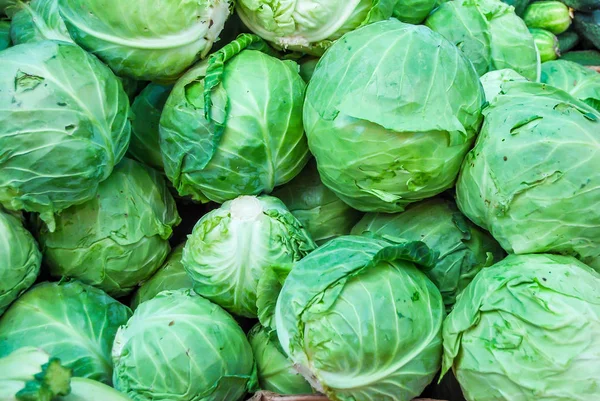 Fresh Green Cabbages Background — 스톡 사진