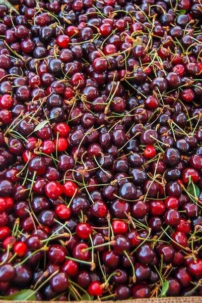 Arkaplan Olarak Kırmızı Kiraz Seçimi — Stok fotoğraf