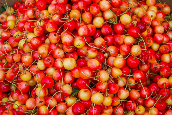 Fondo Cerezas Rojas Claras — Foto de Stock