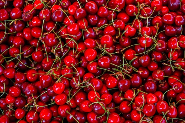 Red Fresh Shiny Cherries — Stock Photo, Image
