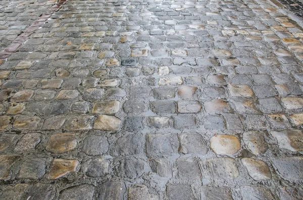 Altes Kopfsteinpflaster Nach Regen — Stockfoto