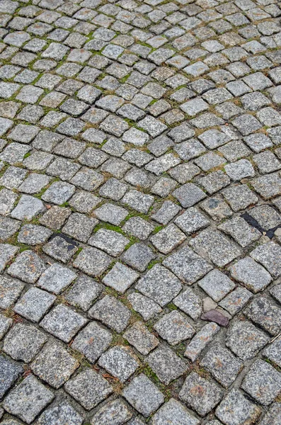 Altes Kopfsteinpflaster Nach Regen — Stockfoto