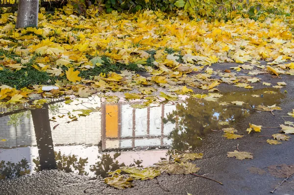 Eső Után Tükröződik Ház Pocsolyában — Stock Fotó