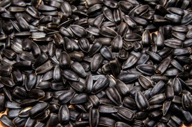 Arkaplan olarak organik ayçekirdeği