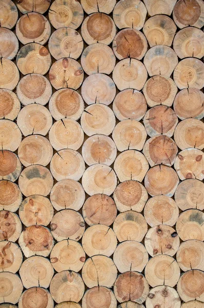 切割干木料作为背景或质地 — 图库照片