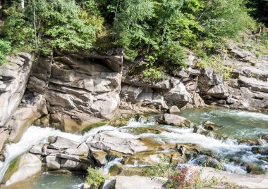 Yakın akarsu dağ nehrinin hızlı suları