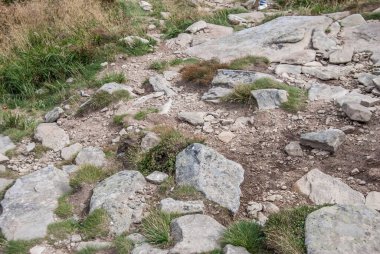 Arkaplan olarak toprak ve büyük taş