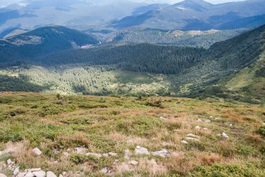 Dağların tepesindeki yamaçta.