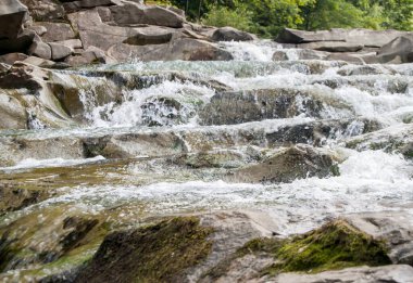 Açık havada hızlı akan engebeli dağ nehri.