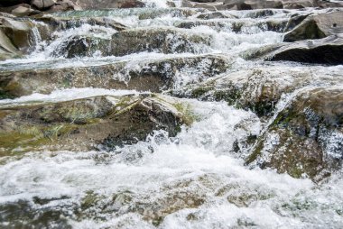 Yakın akarsu dağ nehrinin hızlı suları