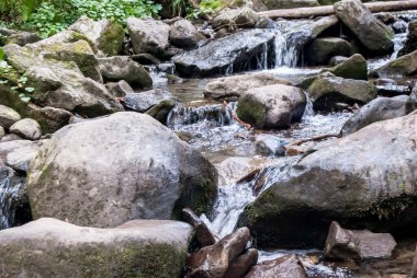 Orman deresi yakın.
