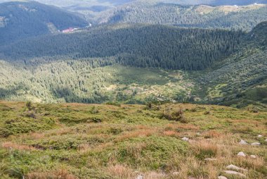 Karpatya, Ukrayna 'da güzel dağlar yaz manzarası