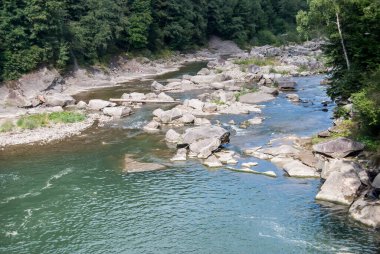 Dağ nehrinin güzel manzarası
