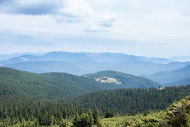 Hoverla 'dan görüntü. Ukrayna 'daki Karpat dağlarında güzel bir vadi