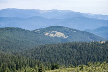 Hoverla 'dan görüntü. Ukrayna 'daki Karpat dağlarında güzel bir vadi