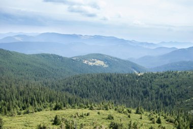 Hoverla 'dan görüntü. Ukrayna 'daki Karpat dağlarında güzel bir vadi