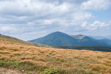 Ukrayna Karpat dağı yaz panoramik manzarası