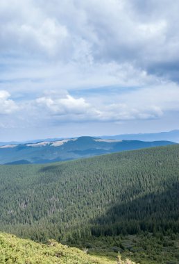 Hoverla 'dan görüntü. Ukrayna 'daki Karpat dağlarında güzel bir vadi