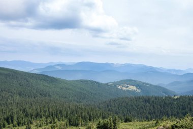 Yazın Karpatlar 'daki Goverla manzarası