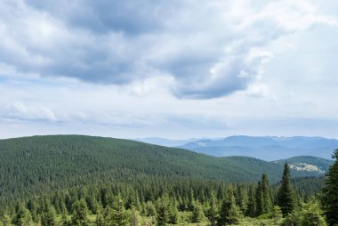 Hoverla 'dan görüntü. Ukrayna 'daki Karpat dağlarında güzel bir vadi