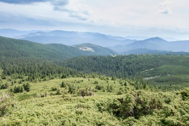 Hoverla 'dan görüntü. Ukrayna 'daki Karpat dağlarında güzel bir vadi