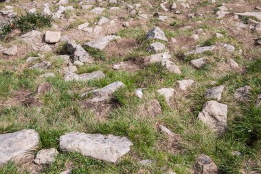 Eski taş yol, yakın.