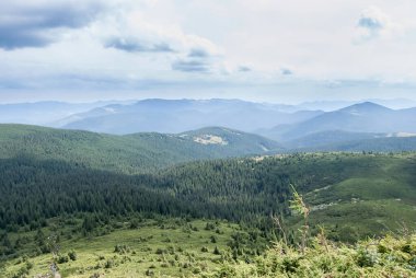 Hoverla 'dan görüntü. Ukrayna 'daki Karpat dağlarında güzel bir vadi