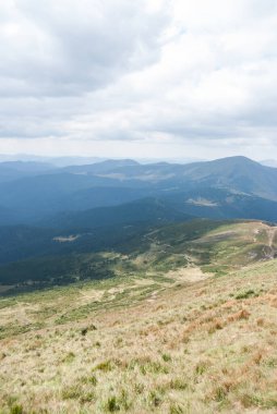 Yazın sisli dağların manzarası Karpatlar, Ukrayna