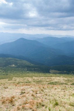 Ukrayna Karpat dağı yaz panoramik manzarası