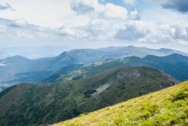 Yazın sisli dağların manzarası Karpatlar, Ukrayna