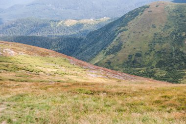 Büyük bir dağ tepesi olan vadiye bakan Karpatlar 'ın manzarası