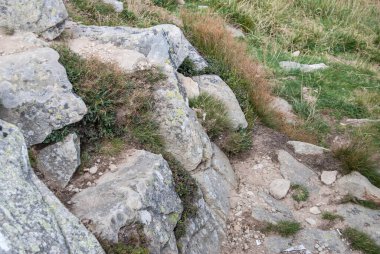 Arkaplan olarak toprak ve büyük taş