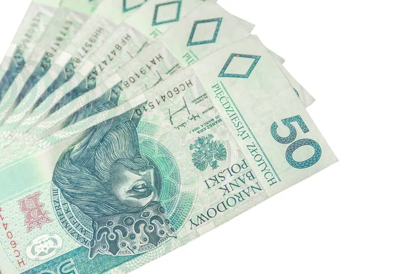 Polnisches Geld Isoliert Auf Weißem Hintergrund Stück — Stockfoto