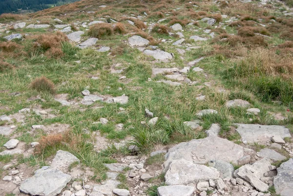 Große Steine Liegen Auf Dem Boden — Stockfoto