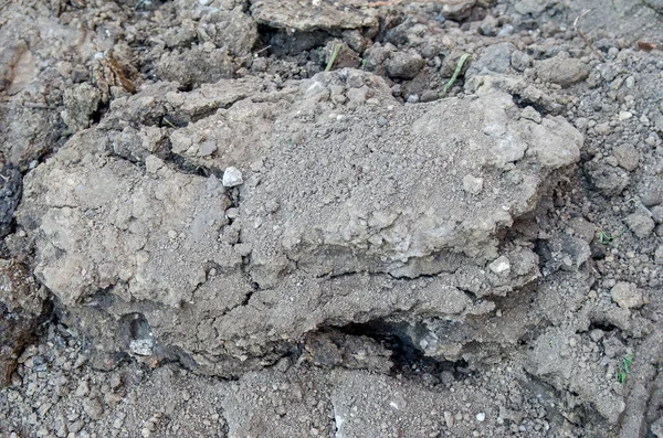 Black Soil Clay Texture — Stock Photo, Image